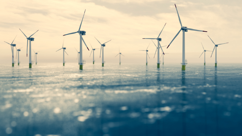 Fernando Trabach Filho