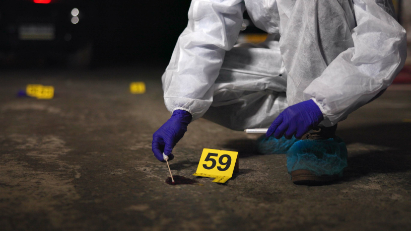 Appellate Judge Alexandre Victor De Carvalho clarifies the new temporal framework for granting benefits in appeals during execution, promoting justice and procedural efficiency.