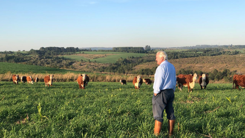 Aldo Vendramin explains the role of agribusiness in the Brazilian economy and its relevance in the global market.